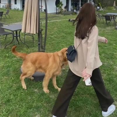 野草蔓生